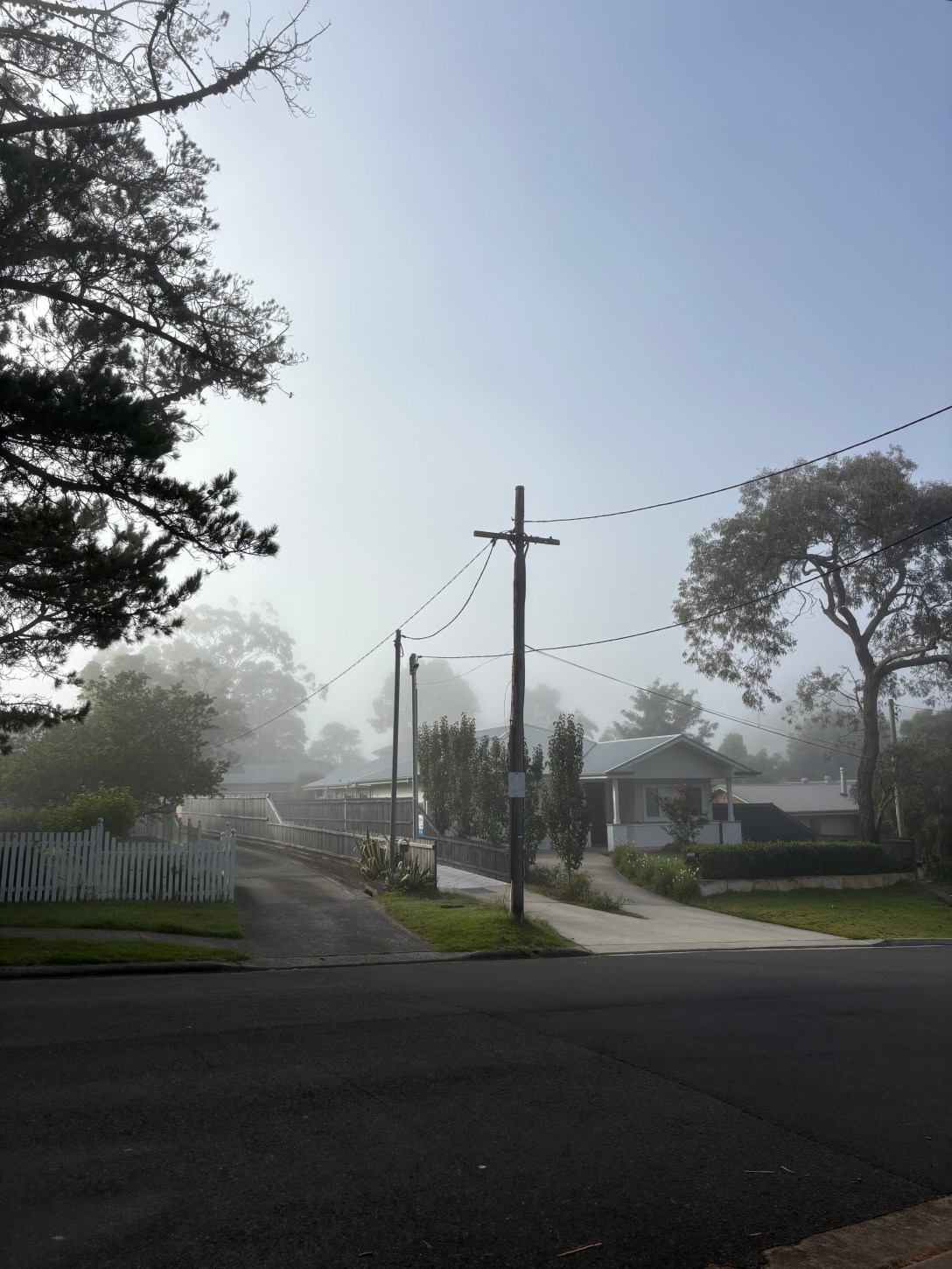 Foggy suburban lanscape